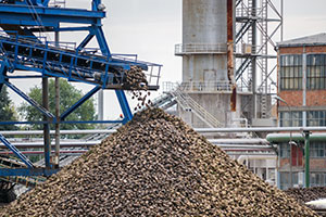 Beet Sugar Factory